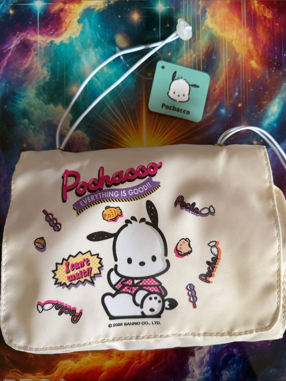 🔖 Sanrio Pochacco Travel Pouch